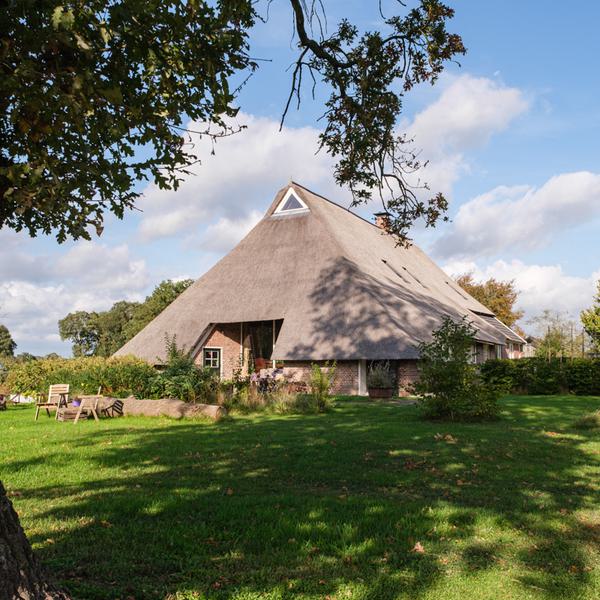 Groene omgeving Beerze woonboerderij - Dijkhuis Bouwbiologische aannemer