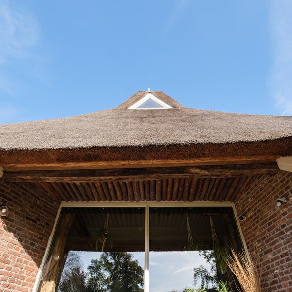 Rieten dak - Dijkhuis Bouwbiologische aannemer