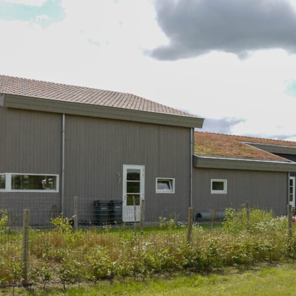 Ademend huis met groen dak in Olst - Dijkhuis Bouwbiologische aannemer